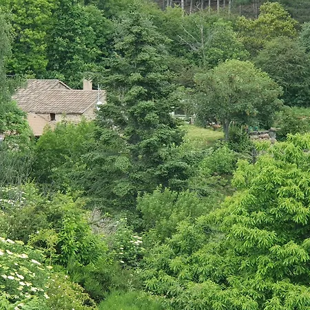 De La Maisonnette Holiday home